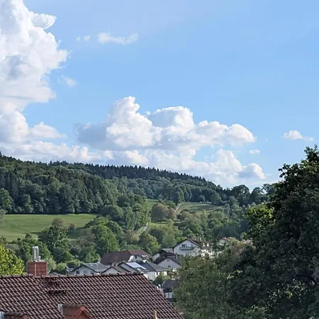 Lejlighed Kirchberg Acht Wald-Michelbach
